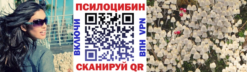 mega tor  Краснозаводск  Галлюциногенные грибы Cubensis  даркнет сайт 